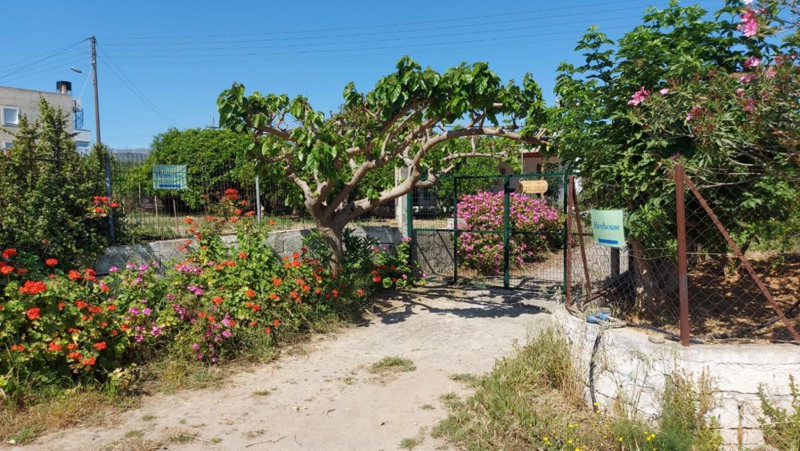 Agritourism Cottage Near Sitia 외부 사진