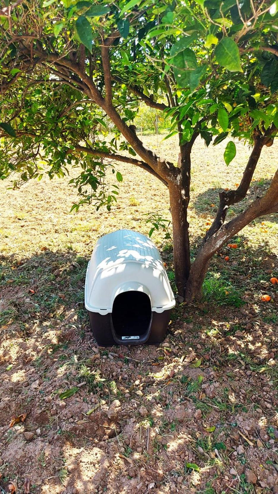 Agritourism Cottage Near Sitia 외부 사진